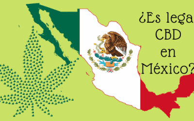 Status legal del CBD en México