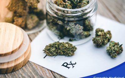 cursos online cannabis